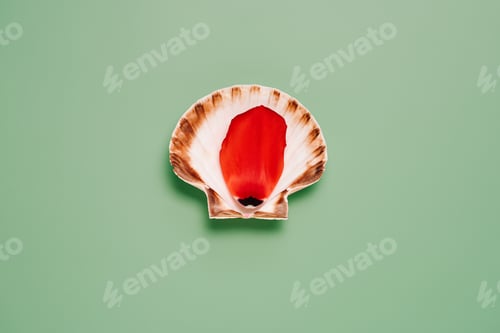Preview: tulip petal on scallop seashell