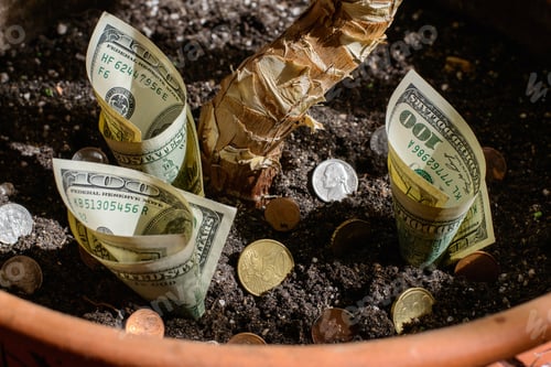 Preview: cash in a flower pot