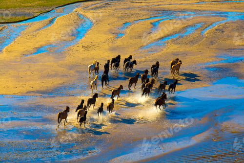 Preview: Wild Horses Running on a Coastal Beach