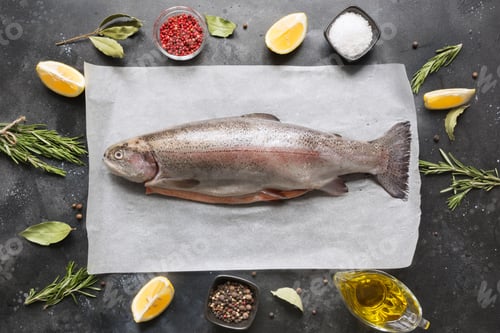 Preview: Delicious trout with herbs, spices on grey background. Healthy food. Cooking concept.