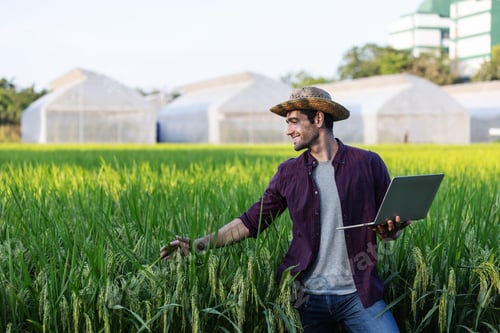 Preview: A farmer wearing a straw hat and holding a laptop stands in a lush rice field