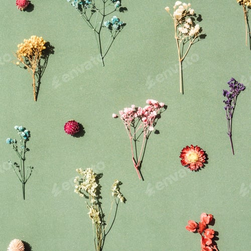 Preview: Floral pattern from dried flowers on green.