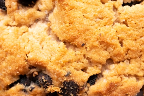 Preview: Close-up cookie with chocolate chip texture with selective focus. Bakery and pastry background
