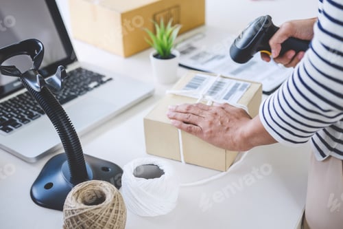 Preview: Small business owner delivery service and working packing box