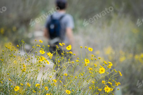 Preview: Man hiking in the mountains at spring time.