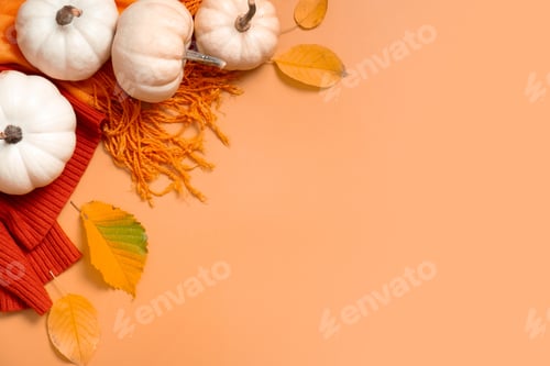 Preview: Autumn flat lay composition with pumpkins and fallen leaves and sweater with space for text