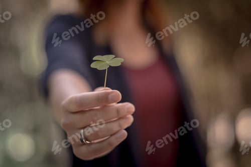 Preview: Clover in female hand in sunny spring day