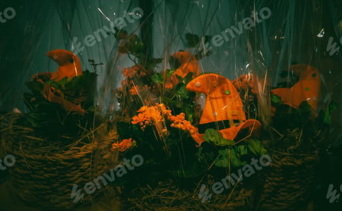 Preview: Beautiful flowers in a basket with a halloween hat.