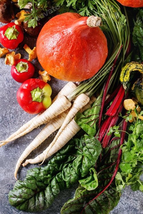 Preview: Variety of autumn harvest vegetables