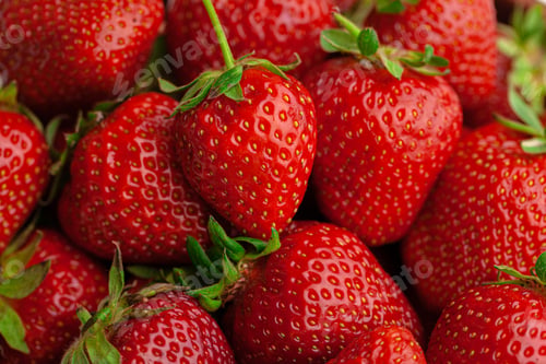 Preview: Ripe sweet strawberries. Summer ripe berries. Close up