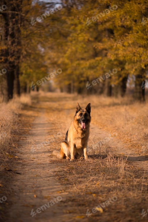 Preview: Autumn colors