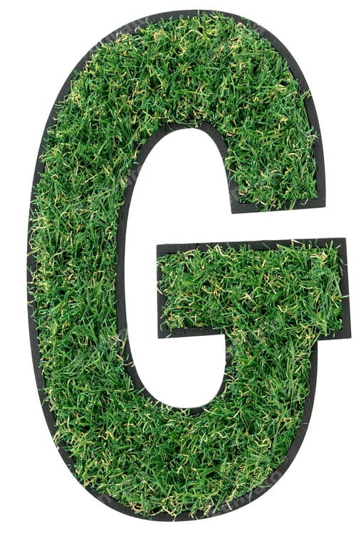 Preview: Letter G made of green grass isolated on white.