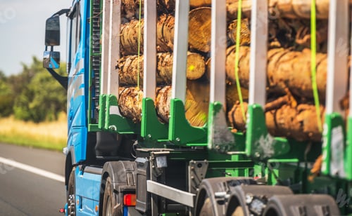 Preview: Blue Truck Transporting Logs Along a Rural Highway on a Sunny Day