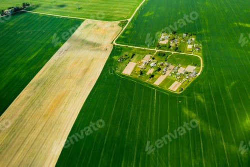 Preview: top view of a sown green field and a small village in Belarus. Agricultural fields in the village