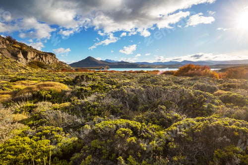 Preview: Autumn in Perito Moreno