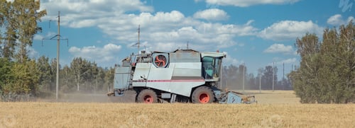 Preview: View of harvester cutting wheat, collecting grain