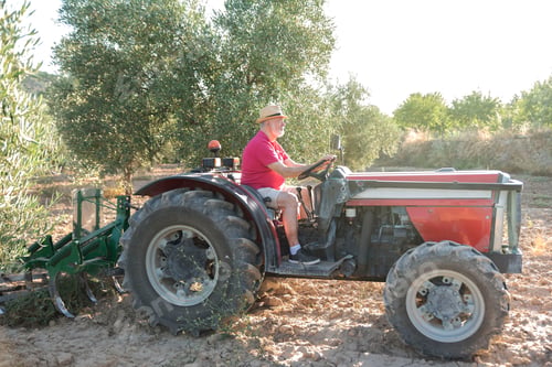 Preview: an elderly farmer driving his tractor through an olive orchard on a sunny day