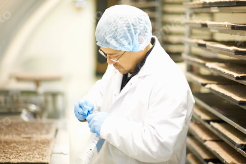 Preview: Side view of worker wearing hairnet and latex gloves collecting samples in plastic bag