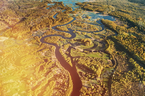 Preview: Aerial View Green Forest Woods And River Landscape In Sunny Spring Summer Day. Top View Of Nature