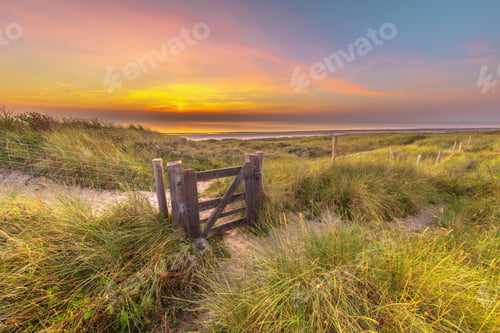 Preview: Walking trail in coastal dune landscape