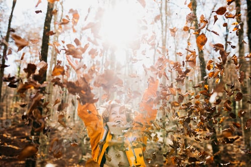 Preview: A senior woman throwing leaves into the air