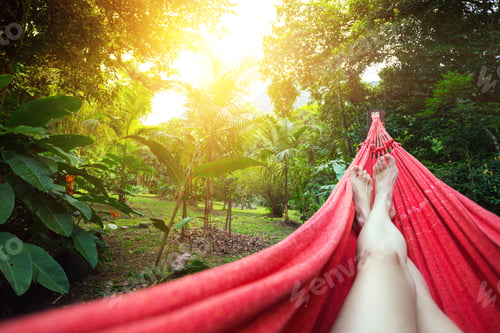 Preview: girl lying in a hammock