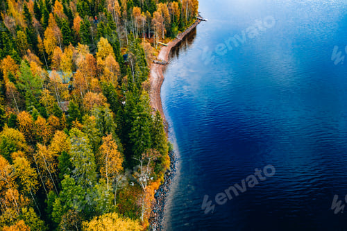 Preview: Aerial view of yellow and orange autumn forest with cottage and wooden pier by blue lake.