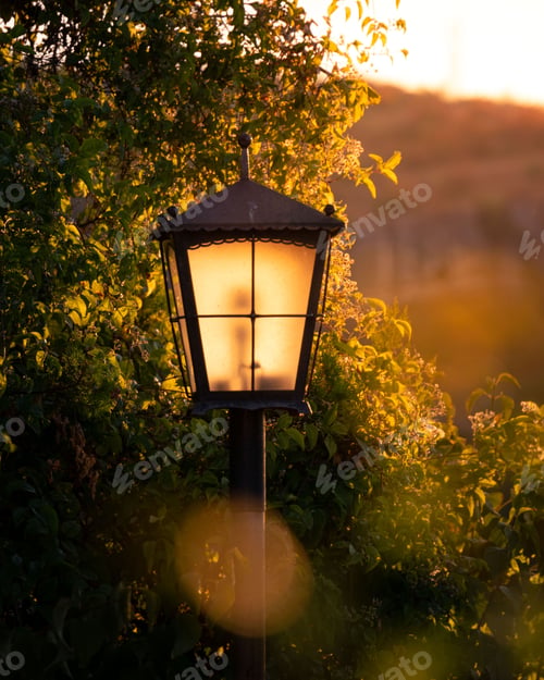 Preview: Vertical shot of a lamppost in a park during the golden hour in the evening