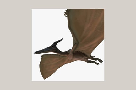 Preview: Pterodactyl in flight with extended wings