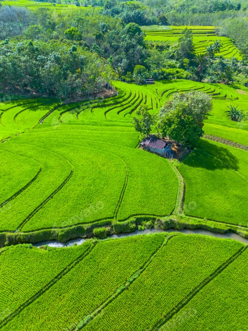 Preview: beautiful morning aerial view of Indonesia with mountains and tropical forests