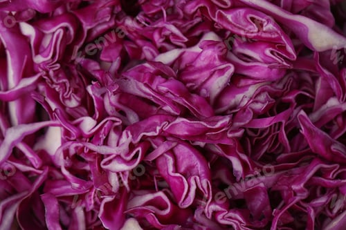 Preview: Shredded red cabbage as background, closeup view