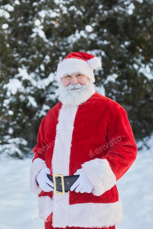 Preview: Portrait of Classic Santa in Forest