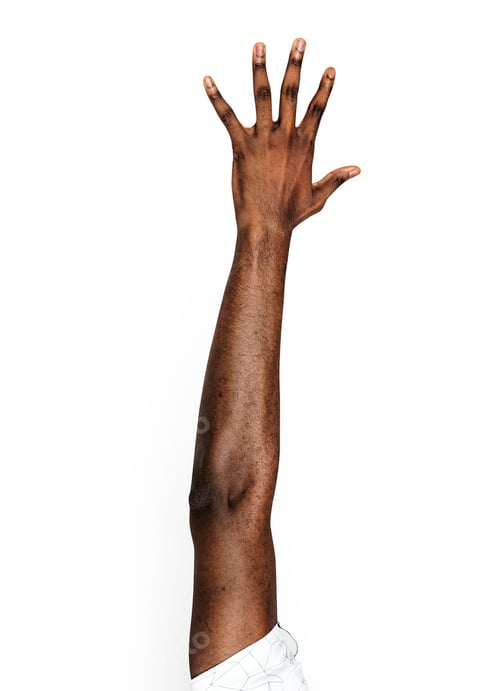 Preview: Hand holding variation of object