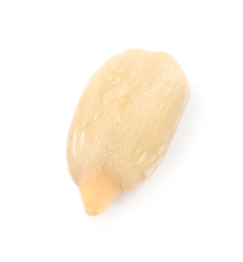 Preview: Raw peeled sunflower seed isolated on white