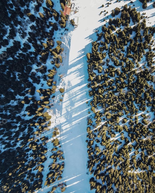 Preview: Top-down view of ski run cut through pine forest