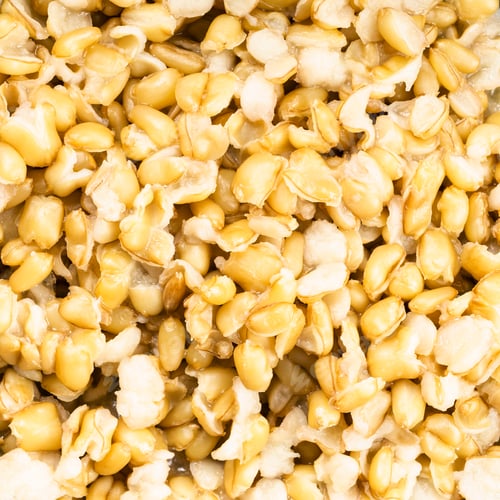 Preview: cooked porridge from kamut khorasan wheat close up