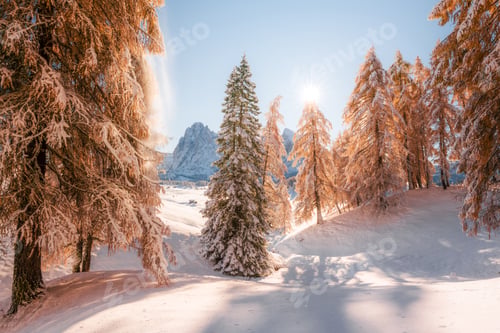 Preview: Picturesque landscape with orange larches covered by first snow