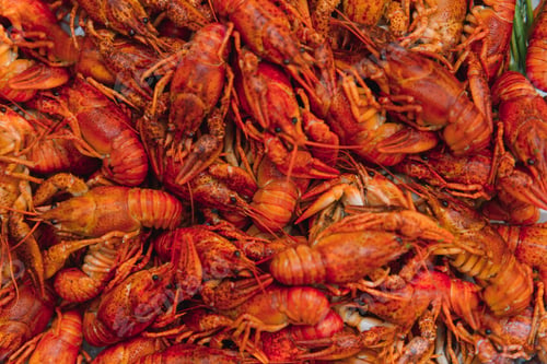 Preview: boiled crayfish on an iron plate. boiled red crayfish background for menu. top view