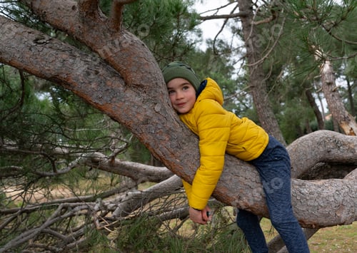 Preview: Boy lying on the branch of a tree in a forest in cold season