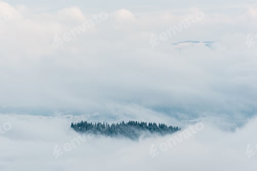 Preview: scenic view of snowy mountains with pine trees in white fluffy clouds