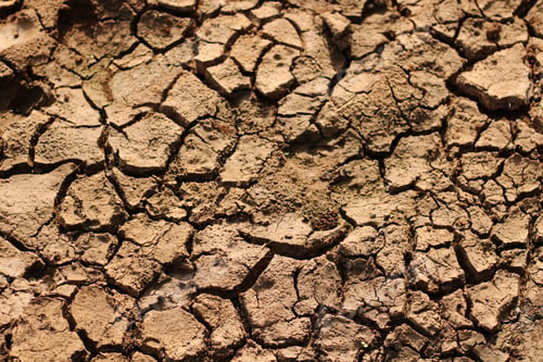 Preview: Closeup of the cracked dry ground under the sunlight - great for wallpapers and textures