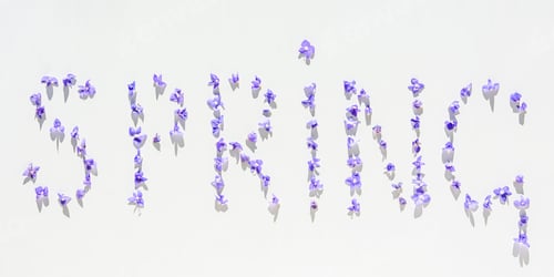 Preview: Spring banner. A word of flowers on a white background.