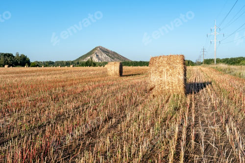 Preview: Mowed field and straw bales laid one after the other after harvest against the cloudy sky