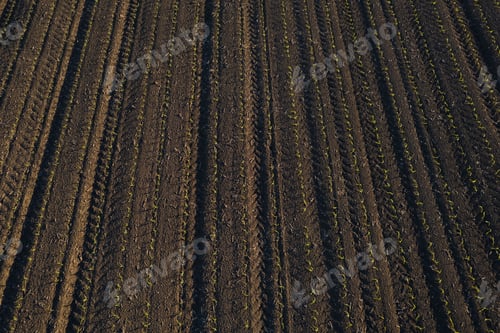 Preview: Aerial view of an empty field at sunset, with recently plowed crops and dirt covering the terrain