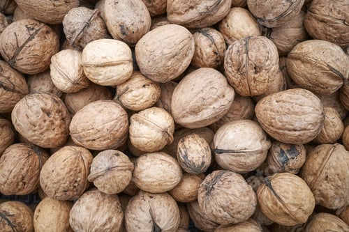 Preview: Close up photo walnuts, selective focus.