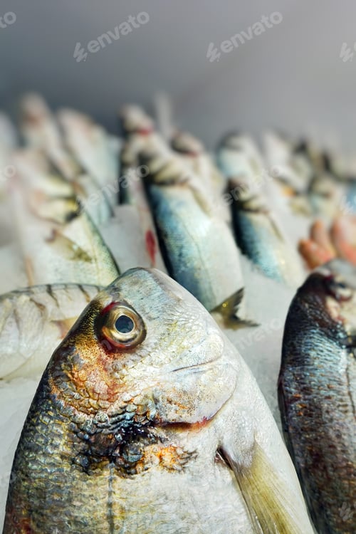 Preview: Fish Food in a Fish Market Stand