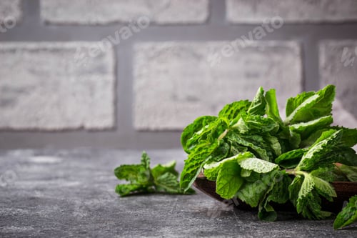 Preview: Bunch of fresh mint in a pot
