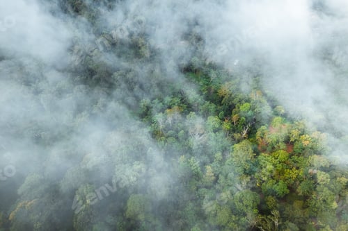 Preview: fog with mountains and light in the morning