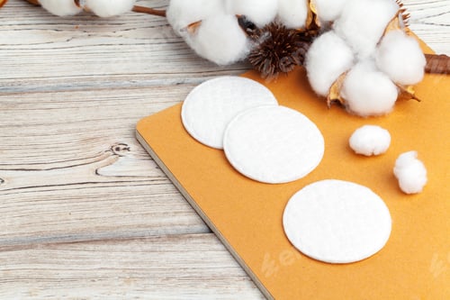 Preview: Branch with cotton flowers on wooden background