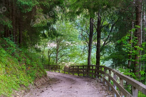 Preview: Cycleway of Pusteria valley at summer